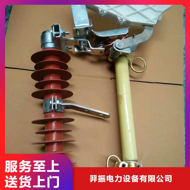 熔断器绝缘子细节展示