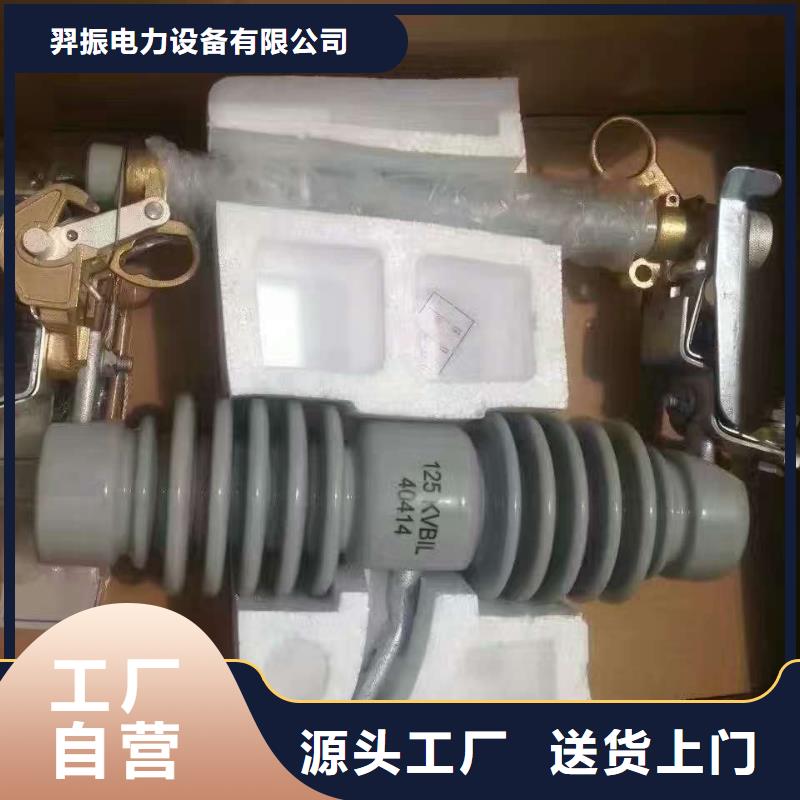 熔断器 【避雷器】优选厂家