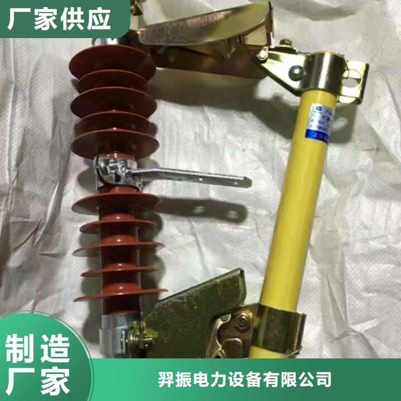 熔断器金属氧化物避雷器让客户买的放心