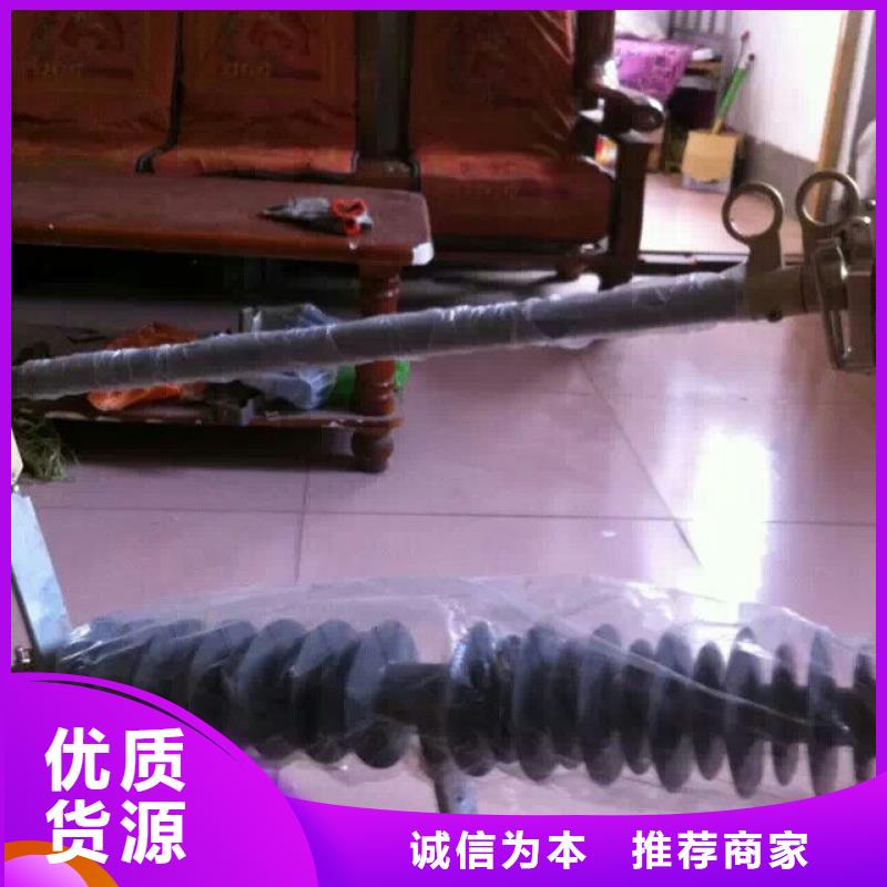 【熔断器】避雷器品质有保障