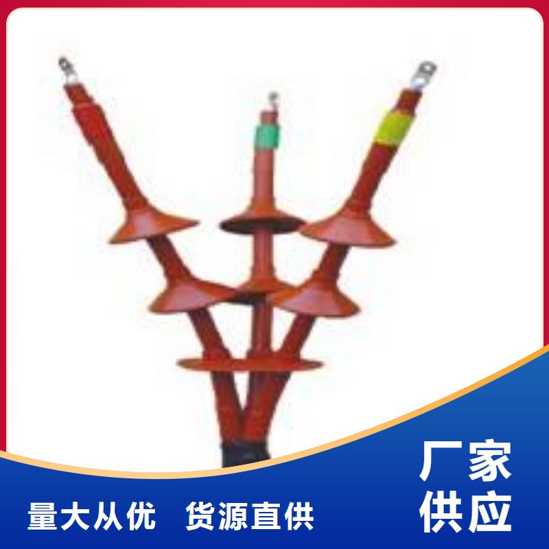 户外热缩电缆终端头RSWY-1/1-20KV_