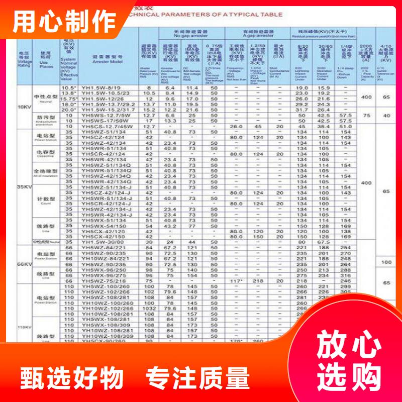 金属氧化物避雷器Y10W-108/281.