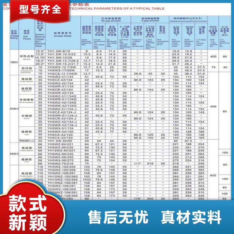 金属氧化物避雷器Y10W-100/260浙江羿振电气有限公司