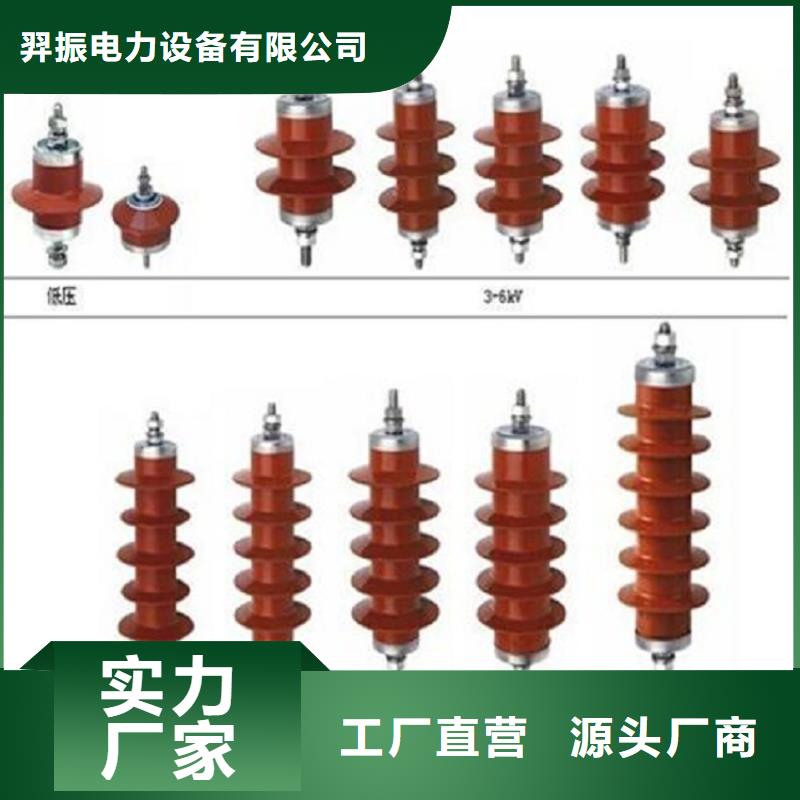 避雷器Y10W5-116/302W