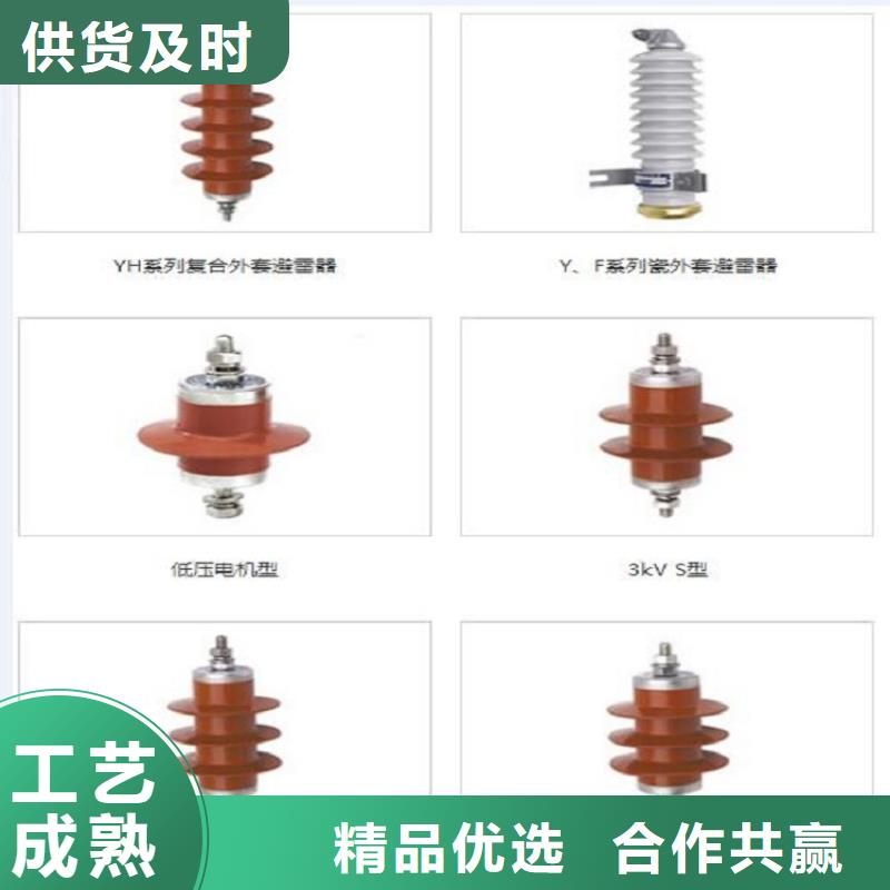 避雷器YH10WZ-100/260【羿振电气】