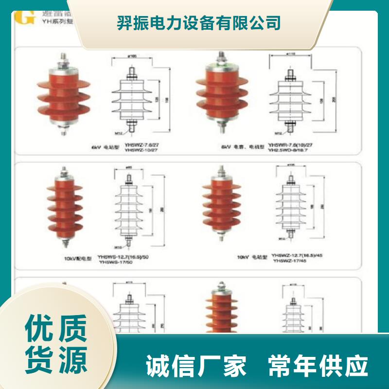 避雷器YH5WZ-51/134TLQ底座式，带放电计数器【羿振电力】