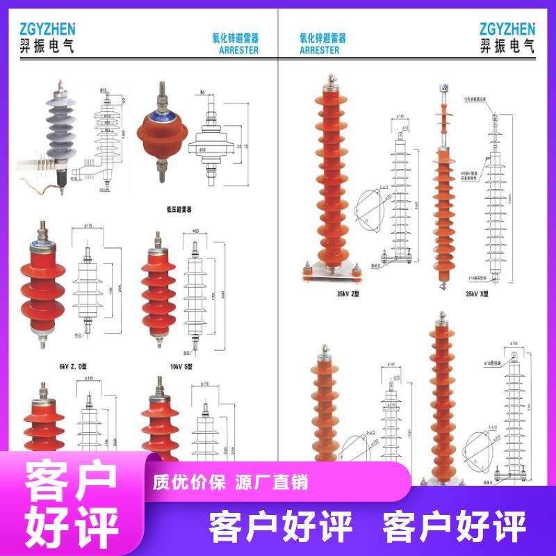 避雷器YH5WZ-51/134TLQ底座式，带放电计数器【羿振电力】