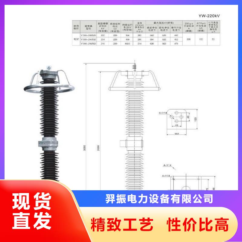 金属氧化物避雷器Y10W-100/260浙江羿振电气有限公司