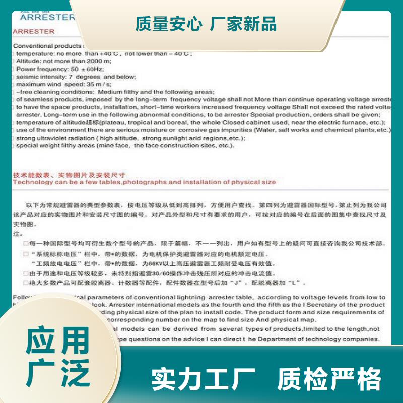 金属氧化物避雷器Y10W-100/260浙江羿振电气有限公司