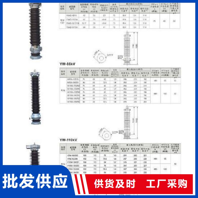 _避雷器YH10W5-52.7/125【羿振电力设备】