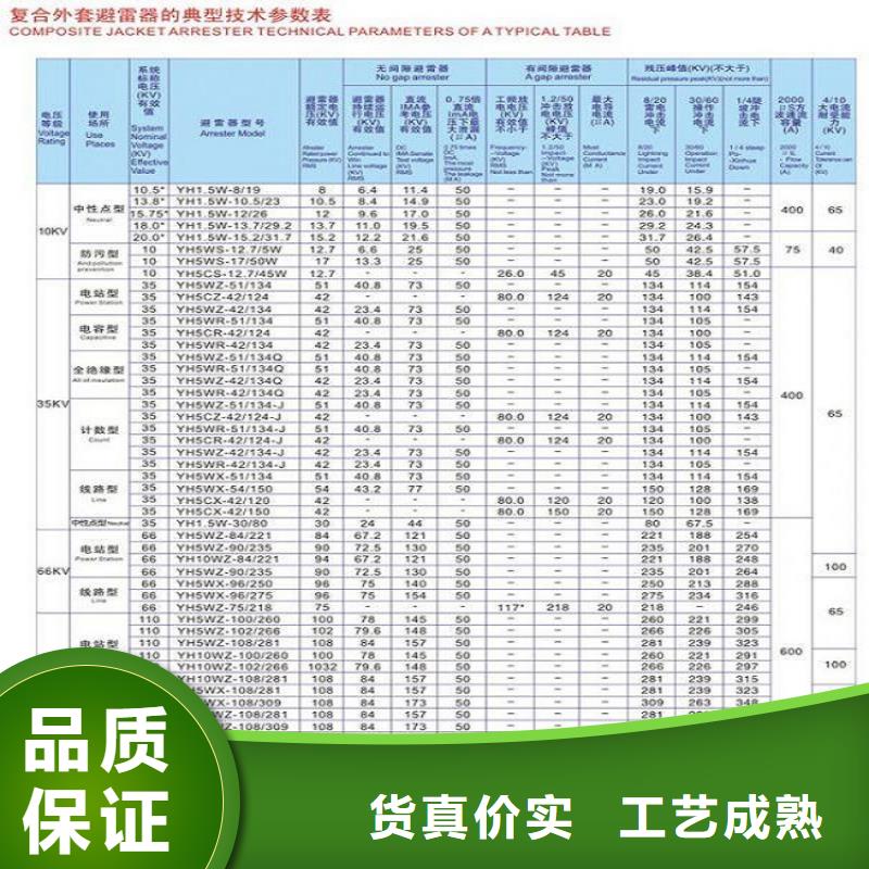 _避雷器Y10W1-96/238【羿振电力设备】