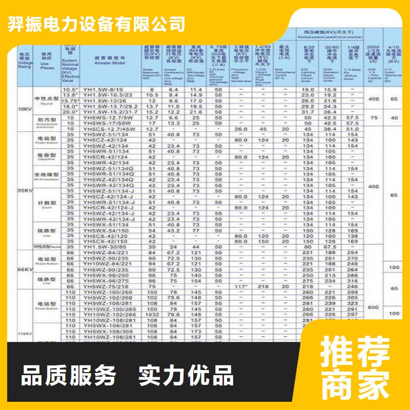 _避雷器Y5WS-17/50DL【羿振电力设备】