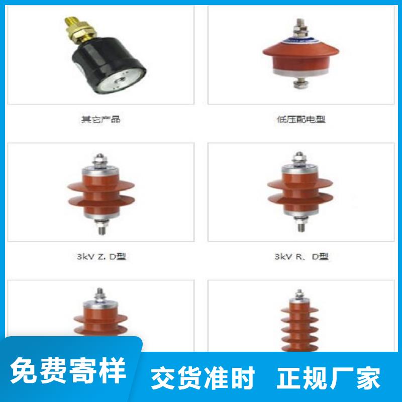 _避雷器Y1.5W5-42/110S【羿振电力设备】