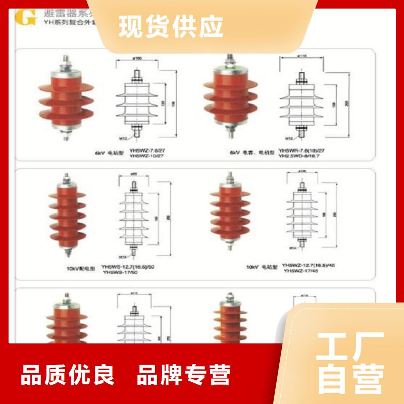 YH10CX5-96/260附放电计数器