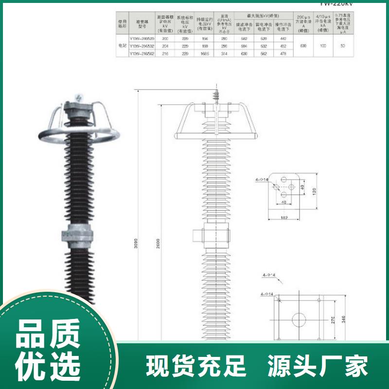 避雷器Y10W-200/520.