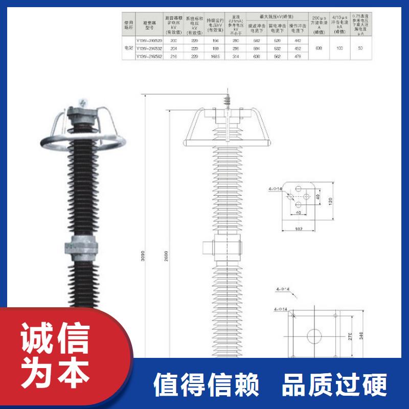 _氧化锌避雷器HY5WS-17/50【羿振电力设备】