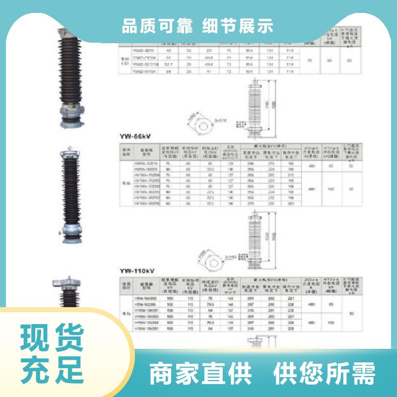 【羿振电力】避雷器YH2.5W5-8/19