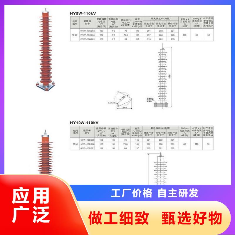 避雷器HY10WZ2-100/260S【浙江羿振电气有限公司】