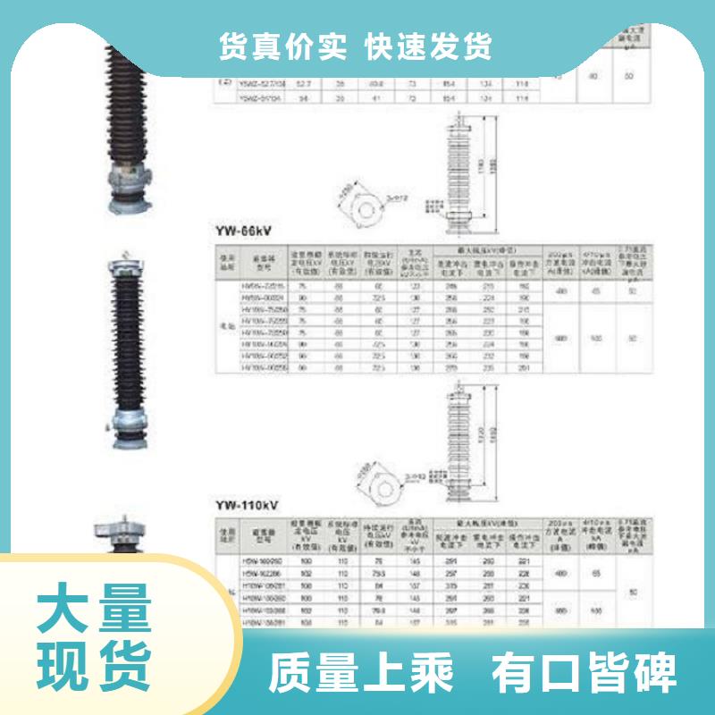 避雷器Y10W-102/266