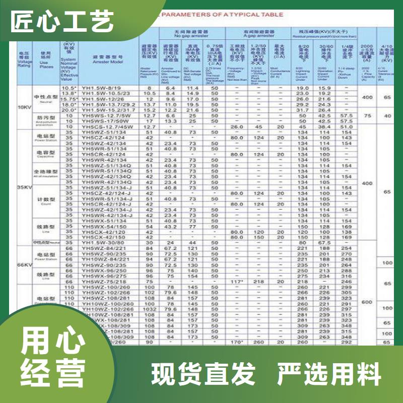 氧化锌避雷器Y10W-200/496