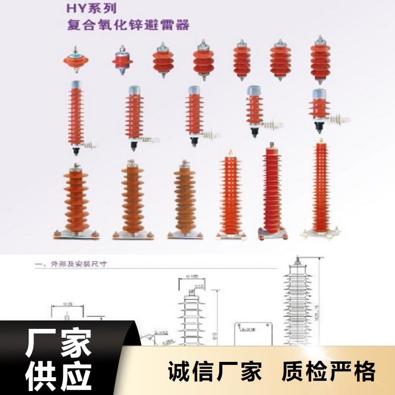 金属氧化物避雷器Y10W-100/260浙江羿振电气有限公司