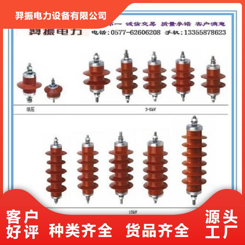 避雷器YH5WZ-51/134TLQ底座式，带放电计数器【羿振电力】