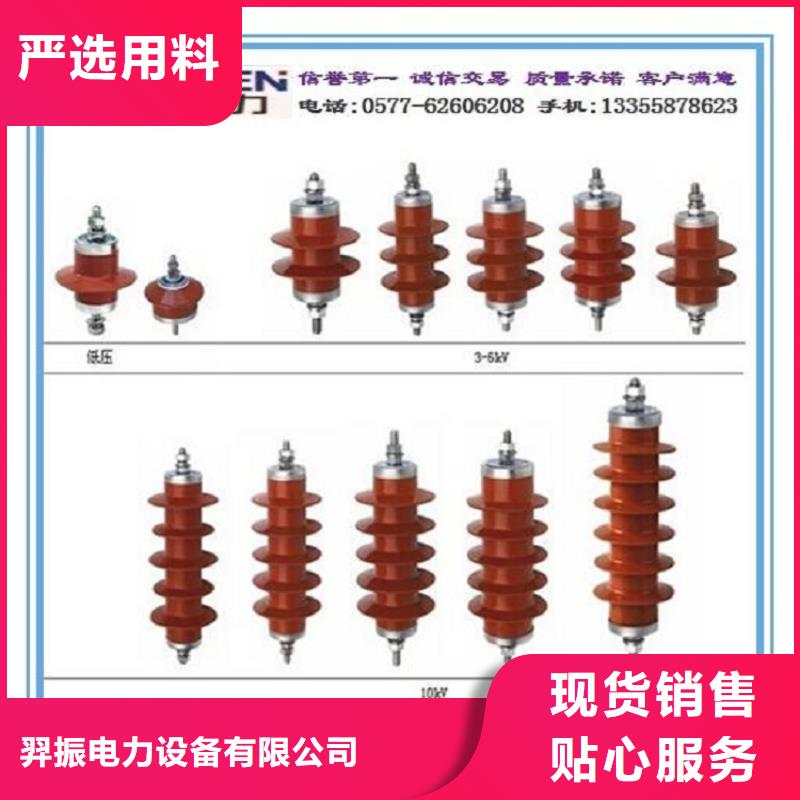 避雷器Y10W-200/496