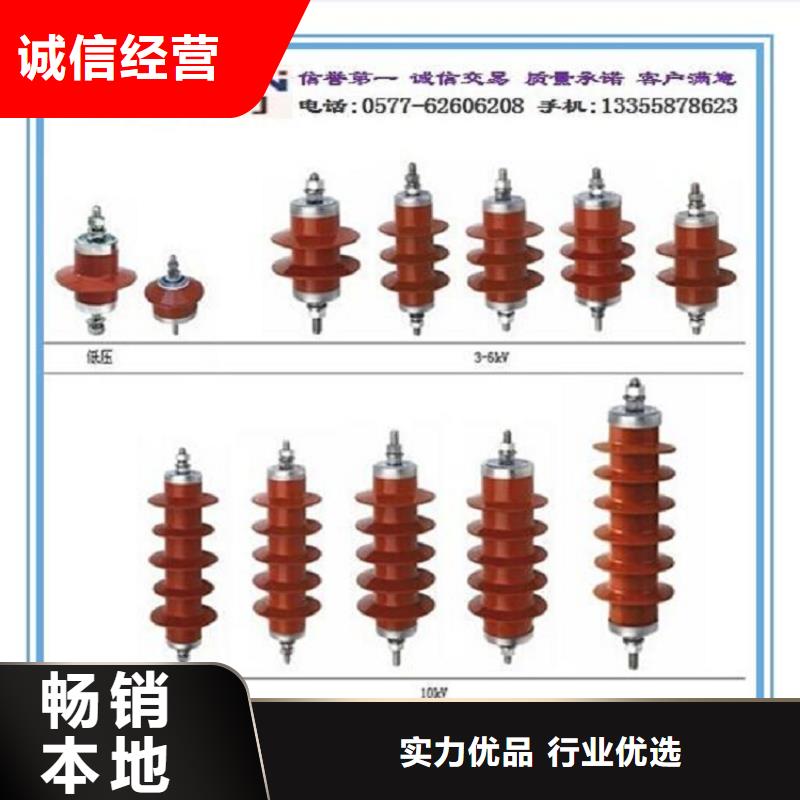 瓷外套金属氧化物避雷器Y10W-200/496