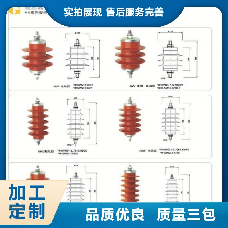 _避雷器Y10W1-100/260W【羿振电力设备】