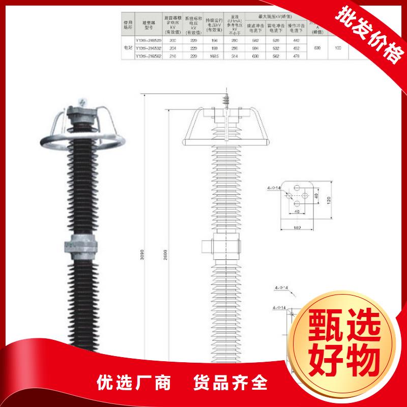 避雷器Y10W1-100/260【羿振电力】