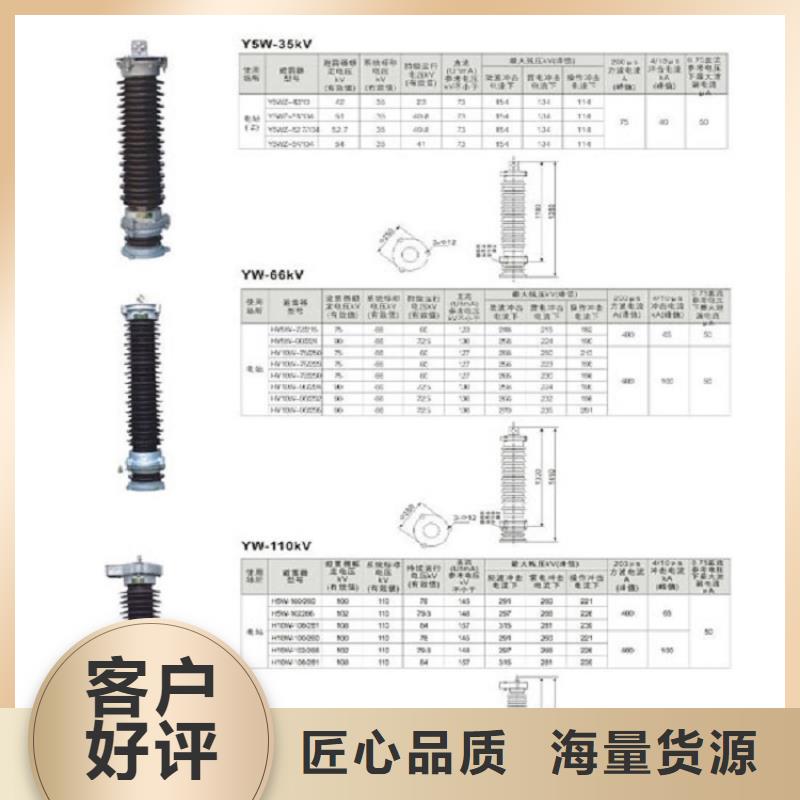 避雷器Y10W-102/266浙江羿振电气有限公司