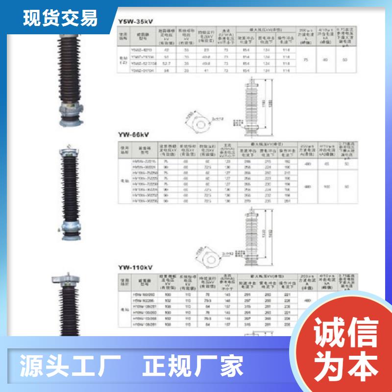 瓷外套金属氧化物避雷器Y10W-200/496