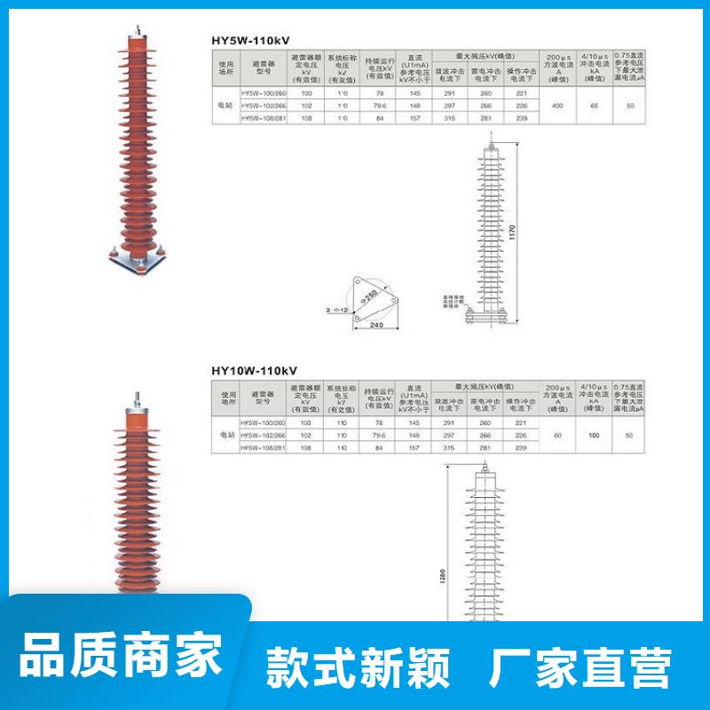 瓷外套金属氧化物避雷器Y10W-200/496