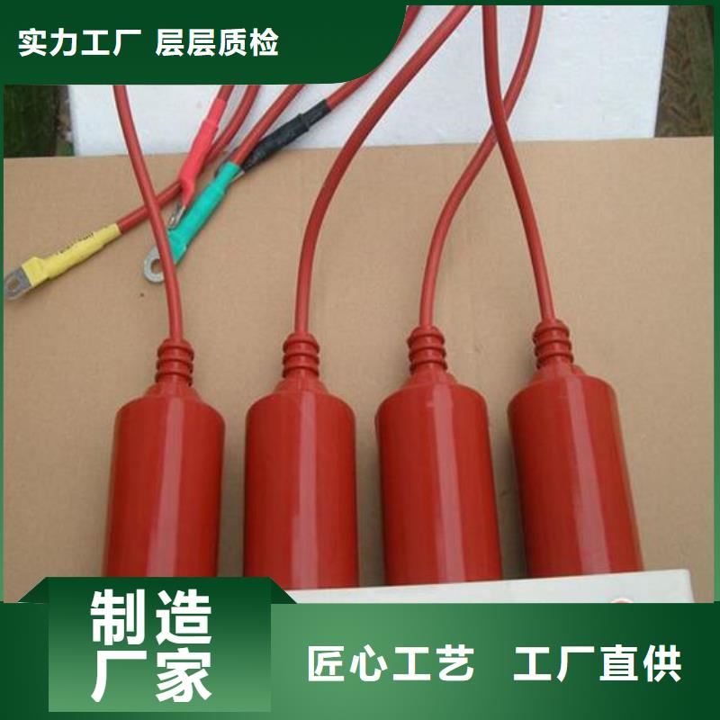 〖过电压保护器〗TBP-W-A/10-F组合过电压保护器质量可靠