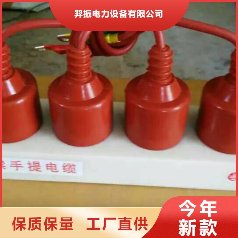 保护器(组合式避雷器)TBP-B-42F/310