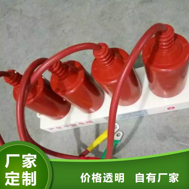 保护器(组合式避雷器)RSB-C/F-6.3/W