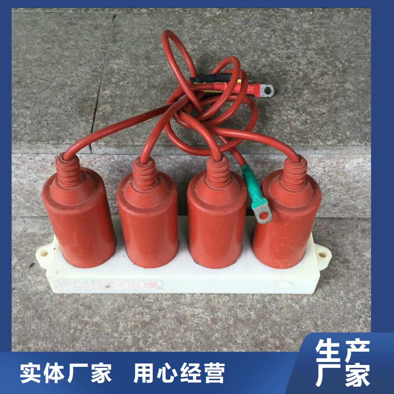 保护器(组合式避雷器)TBP-W-B/6-F组合过电压保护器