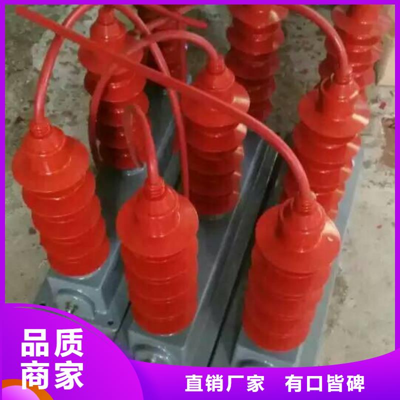 〖过电压保护器〗TBP-Y-A/6-T组合过电压保护器推荐厂家