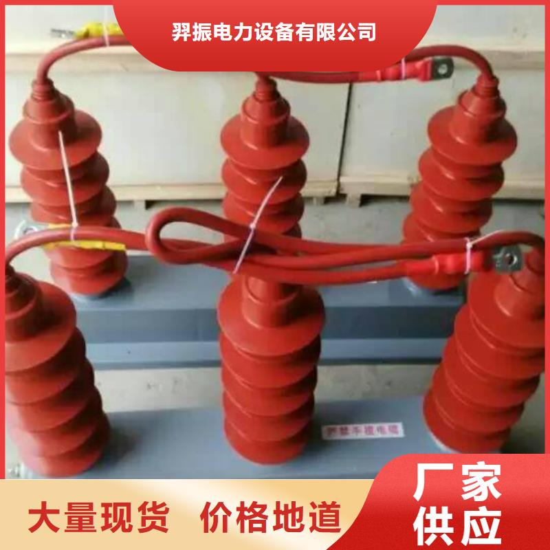 【过电压保护器/组合式避雷器】TBP-C-12.7F/131