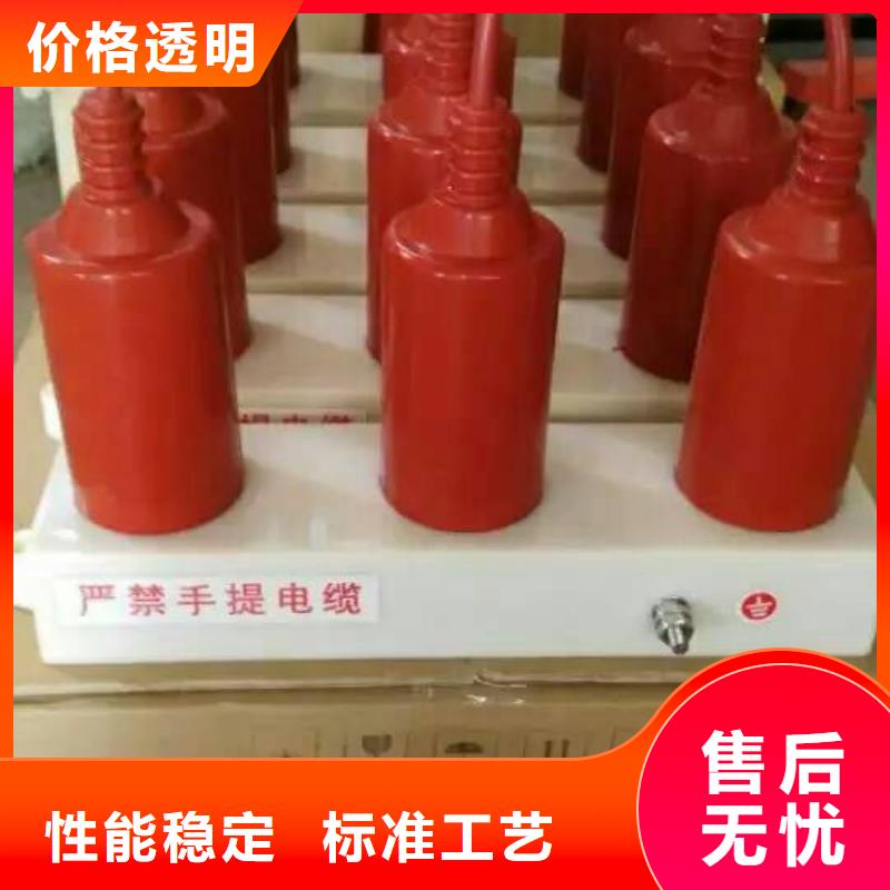 保护器(组合式避雷器)HBP-J-7.6