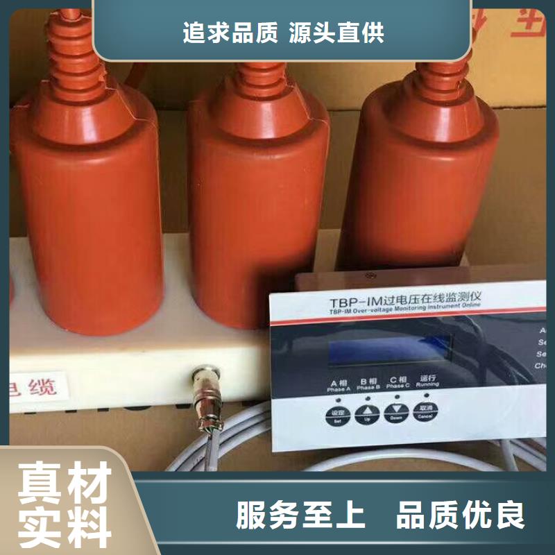 保护器(组合式避雷器)TBP-C-7.6/150-J