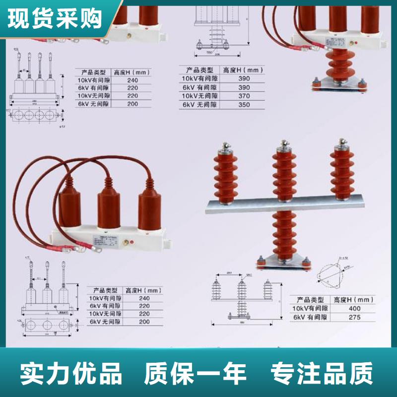 保护器(组合式避雷器)YH5CZ-12.7/41*12.7/41