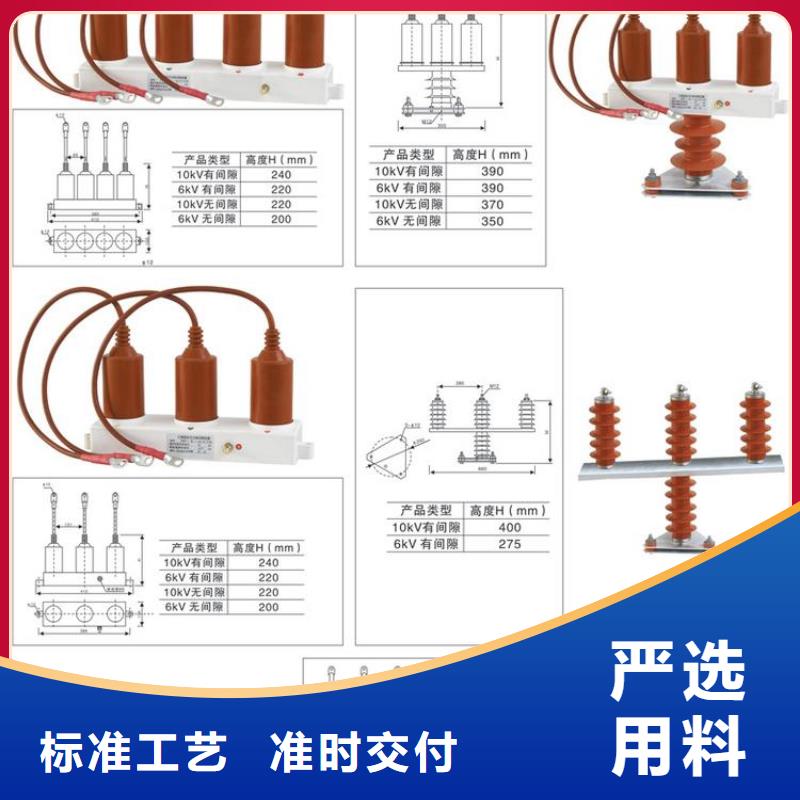 保护器(组合式避雷器)TBP-B-7.6/131-J