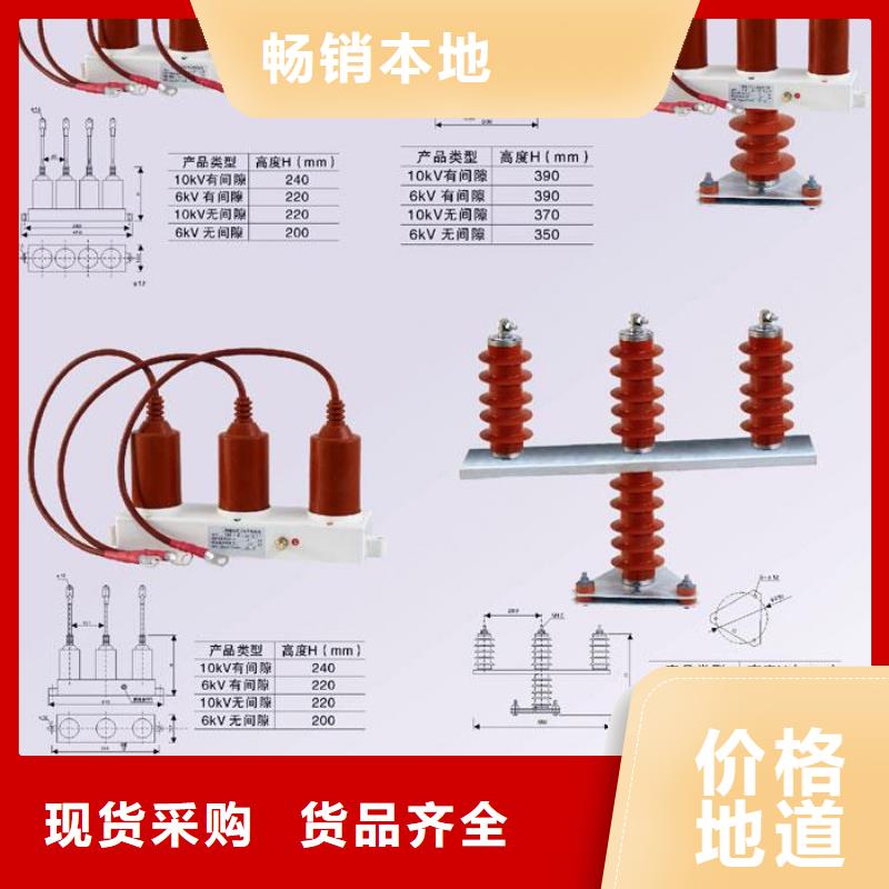 过电压保护器(组合式避雷器)BSTG-B-12.7/131