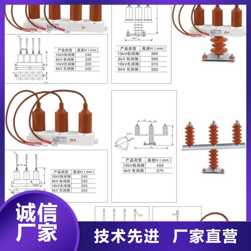 保护器(组合式避雷器)BSTG-A-7.6/600