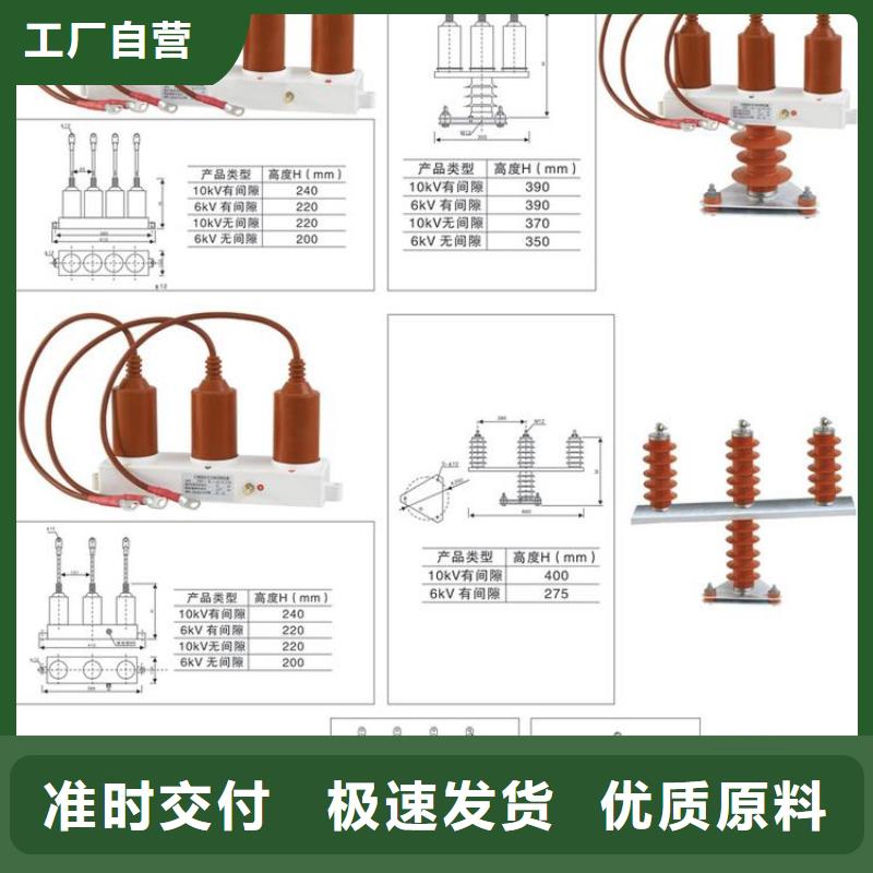 保护器(组合式避雷器)TBP-A-42F/310