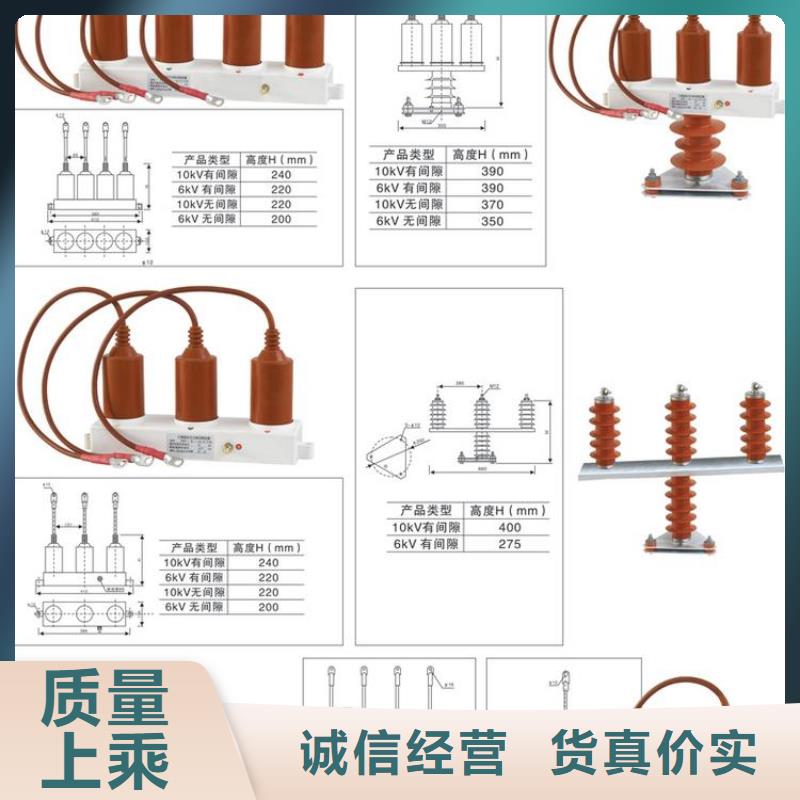 保护器(组合式避雷器)TGB-D-15.75/N