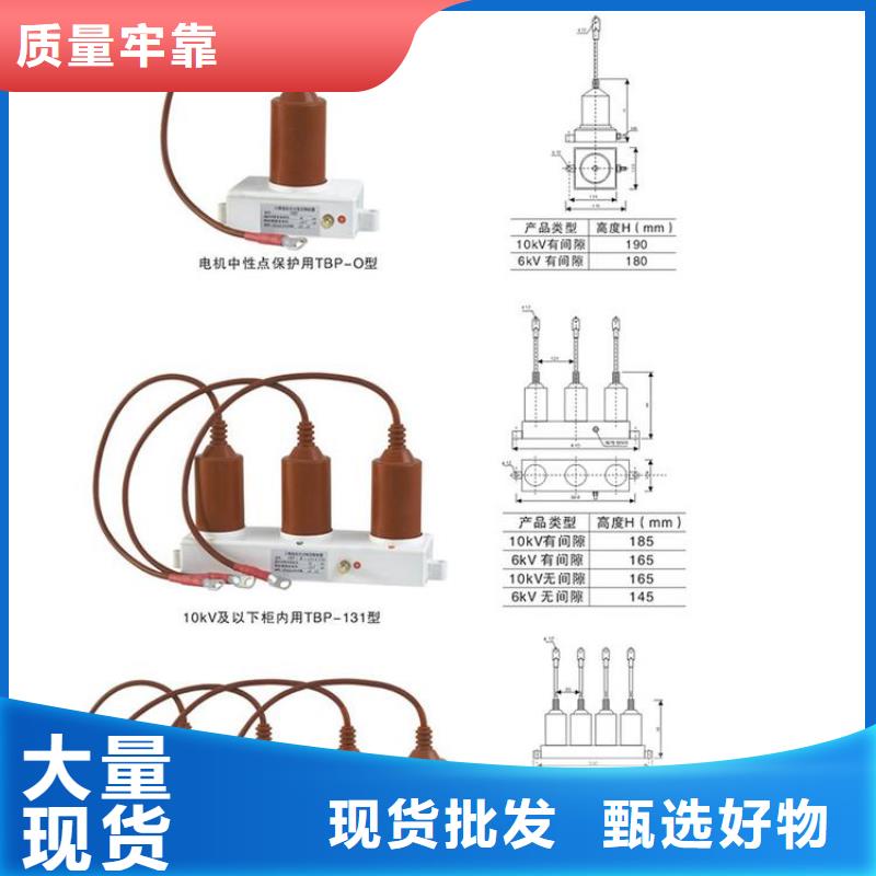 保护器(组合式避雷器)TBP-B-42F/310