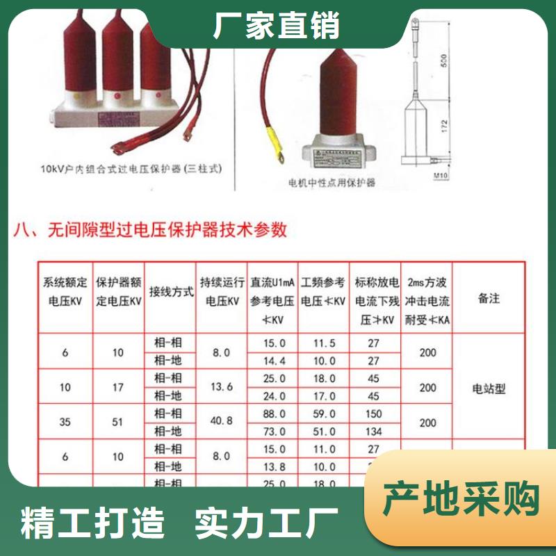 过电压保护器BSTG-C-42F/200