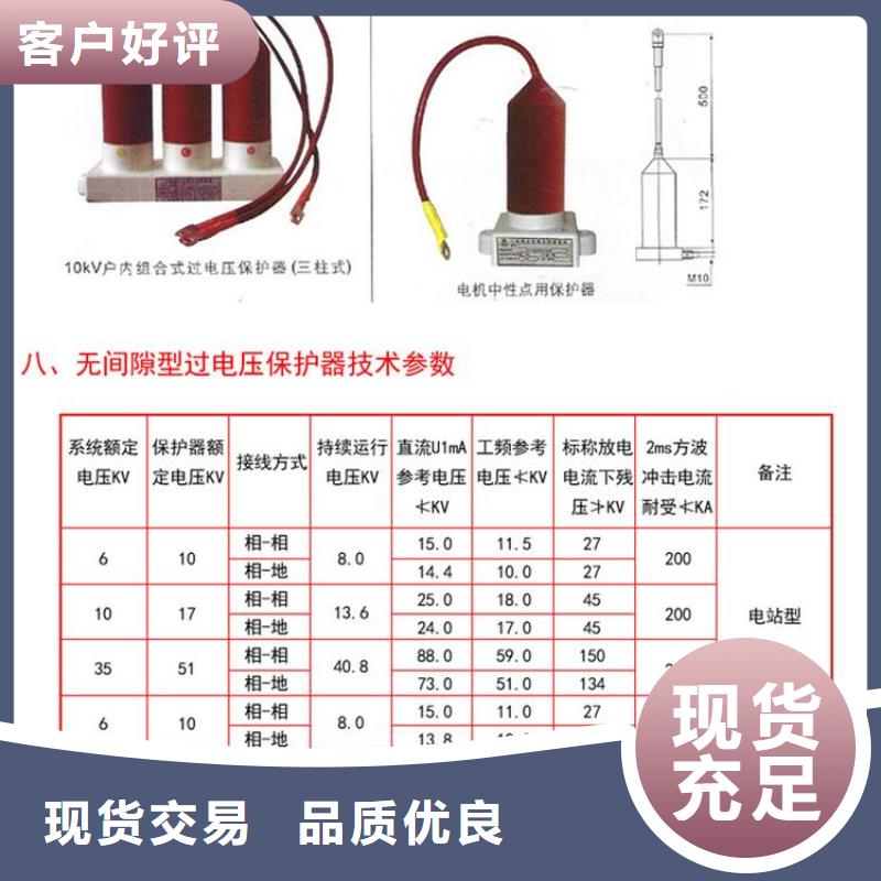 过电压保护器(组合式避雷器)TBP-C-12.7/131-J